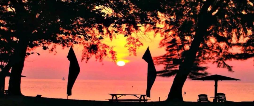 Lotus Desaru Beach Resort, 2 Bdrms, W/Splash Park Bandar Penawar Ngoại thất bức ảnh